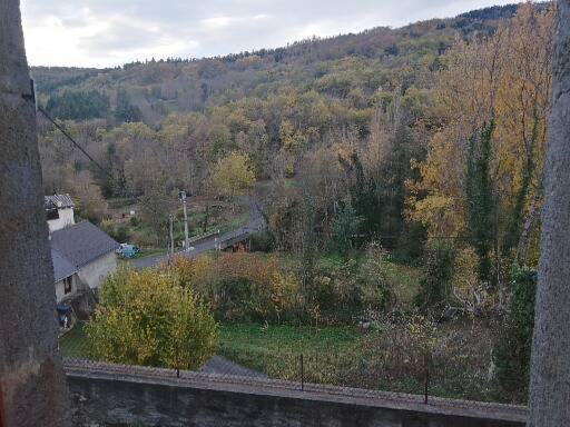 Villa Les Granges Saint-Nectaire Exterior foto